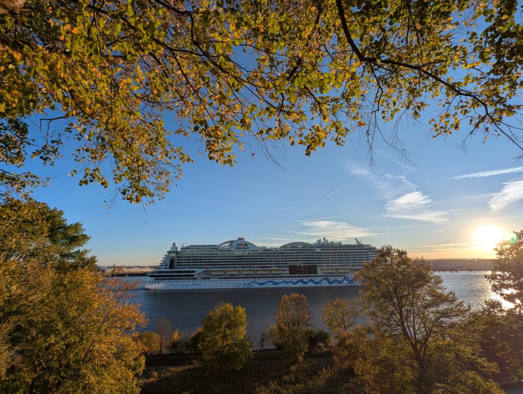 Kreuzfahrtschiff auf der Elbe zwischen Herbstlaub